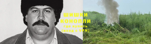дмт Нефтегорск