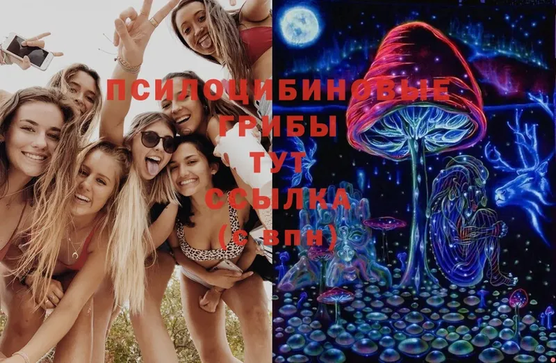 продажа наркотиков  Починок  Галлюциногенные грибы Magic Shrooms 