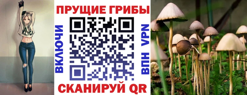 Псилоцибиновые грибы мухоморы  Починок 